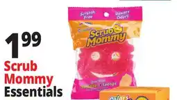 Ocean State Job Lot Scrub Mommy Essentials offer