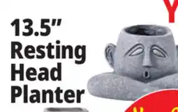 Ocean State Job Lot 13.5 Resting Head Planter offer