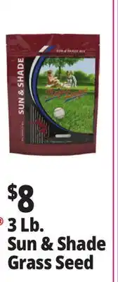 Ocean State Job Lot 3 lb Sun & Shade Grass Seed offer