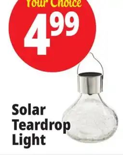 Ocean State Job Lot Solar Teardrop Light offer