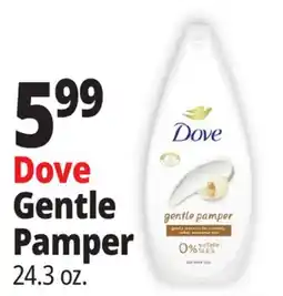 Ocean State Job Lot Dove Gentle Pamper offer