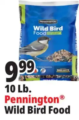 Ocean State Job Lot Pennington Wild Bird Food offer