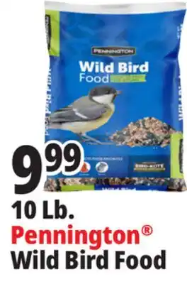 Ocean State Job Lot Pennington Wild Bird Food offer