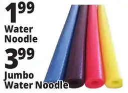 Ocean State Job Lot Water Noodle offer