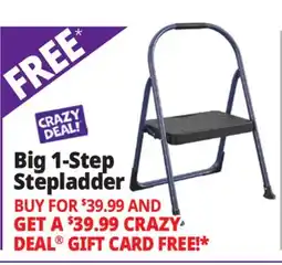 Ocean State Job Lot Big 1-Step Stepladder offer