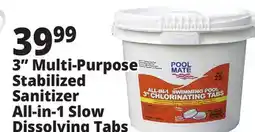 Ocean State Job Lot 3 Multi-Purpose Stabilized Sanitizer All-in-1 Slow Dissolving Tabs offer
