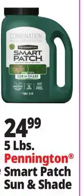 Ocean State Job Lot 5 Lbs Pennington Smart Patch Sun & Shade offer