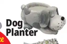 Ocean State Job Lot Dog Planter offer