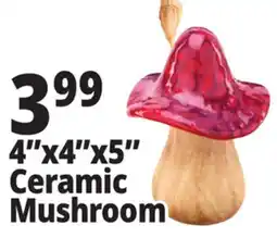 Ocean State Job Lot 4x4x5 Ceramic Mushroom offer