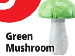 Ocean State Job Lot Green Mushroom offer