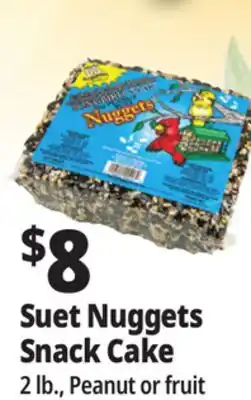 Ocean State Job Lot Suet Nuggets Snack Cake offer