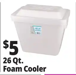 Ocean State Job Lot Foam Cooler offer