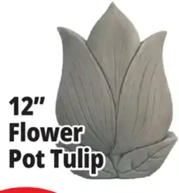Ocean State Job Lot 12 Flower Pot Tulip offer