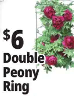 Ocean State Job Lot Double Peony Ring offer