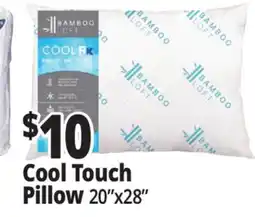 Ocean State Job Lot Cool Touch Pillow offer