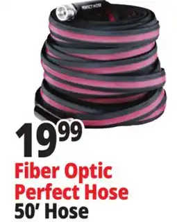 Ocean State Job Lot Fiber Optic Perfect offer