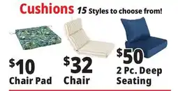 Ocean State Job Lot Cushions offer