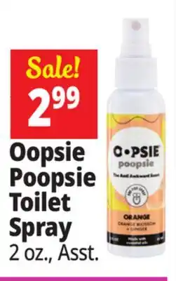 Ocean State Job Lot Toilet Spray offer