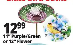 Ocean State Job Lot 11 Purple/Green or 12 Flower offer