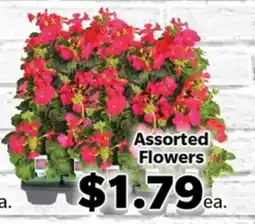Living Fresh Market Assorted Flowers offer