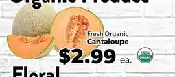 Living Fresh Market Fresh Organic Cantaloupe offer