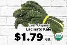 Living Fresh Market Fresh Organic Lacinato Kale offer