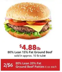 Fareway Ground Beef Patties offer