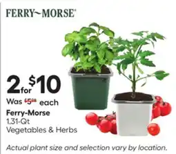 Lowe's 1.31-Qt Vegetables & Herbs offer
