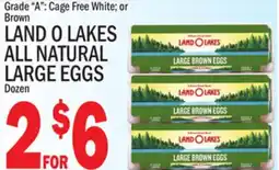 C Town LAND O LAKES ALL NATURAL LARGE EGGS offer
