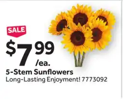 Stop&Shop 5-Stem Sunflowers offer