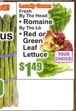 SuperFresh Locally Grown Fresh Romaine By The Lb • Red or Green Leaf Lettuce offer