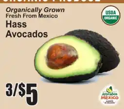 SuperFresh USDA ORGANIC Hass Avocados offer