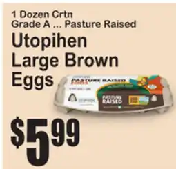 SuperFresh Utopihen Large Brown Eggs offer