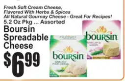 SuperFresh Boursin Spreadable Cheese offer