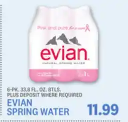 Kings Food Markets EVIAN SPRING WATER offer