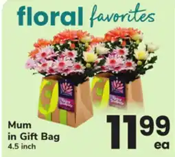 ACME Mum in Gift Bag offer