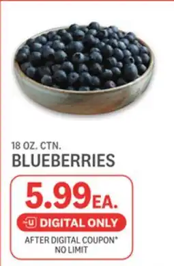 Kings Food Markets BLUEBERRIES offer
