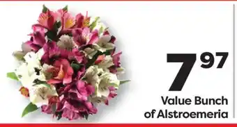 Weis Markets Value Bunch of Alstroemeria offer