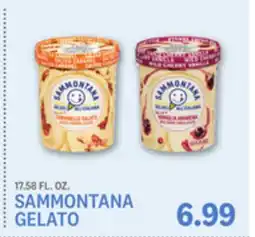 Kings Food Markets SAMMONTANA GELATO offer