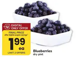 ACME Blueberries offer