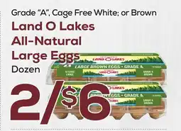 DeCicco & Sons Land O Lakes All-Natural Large Eggs offer