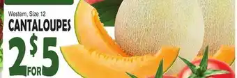 Bravo Supermarkets CANTALOUPES offer