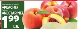 Bravo Supermarkets PEACHES, California NECTARINES offer