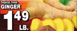 Bravo Supermarkets GINGER offer