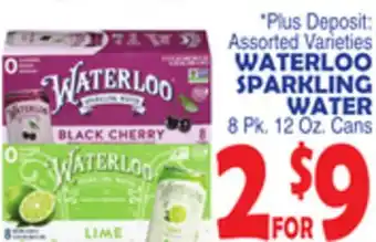 Bravo Supermarkets WATERLOO SPARKLING WATER offer