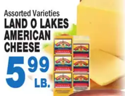 Bravo Supermarkets LAND O LAKES AMERICAN CHEESE offer