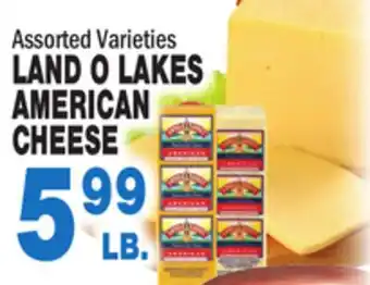 Bravo Supermarkets LAND O LAKES AMERICAN CHEESE offer