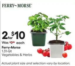 Lowe's Ferry-Morse 1.31-Qt Vegetables & Herbs offer