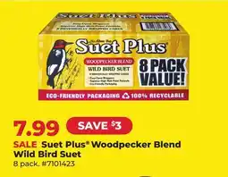 Runnings Suet Plus Woodpecker Blend Wild Bird Suet offer