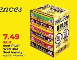 Runnings Suet Plus Wild Bird Suet Variety offer